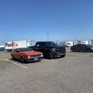 Meet your Posher, Shayne